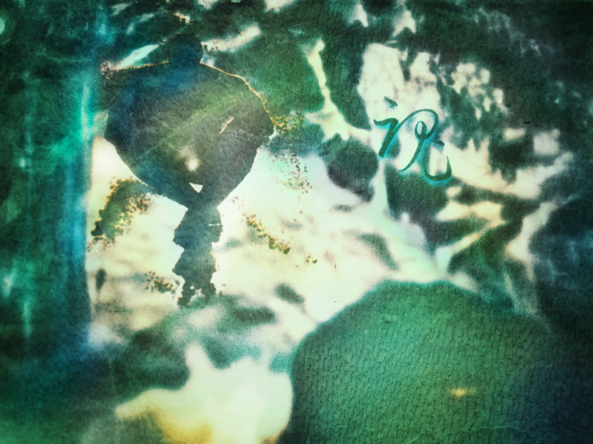 OddManju (@6pXyivrh8x34858) / Posts / X