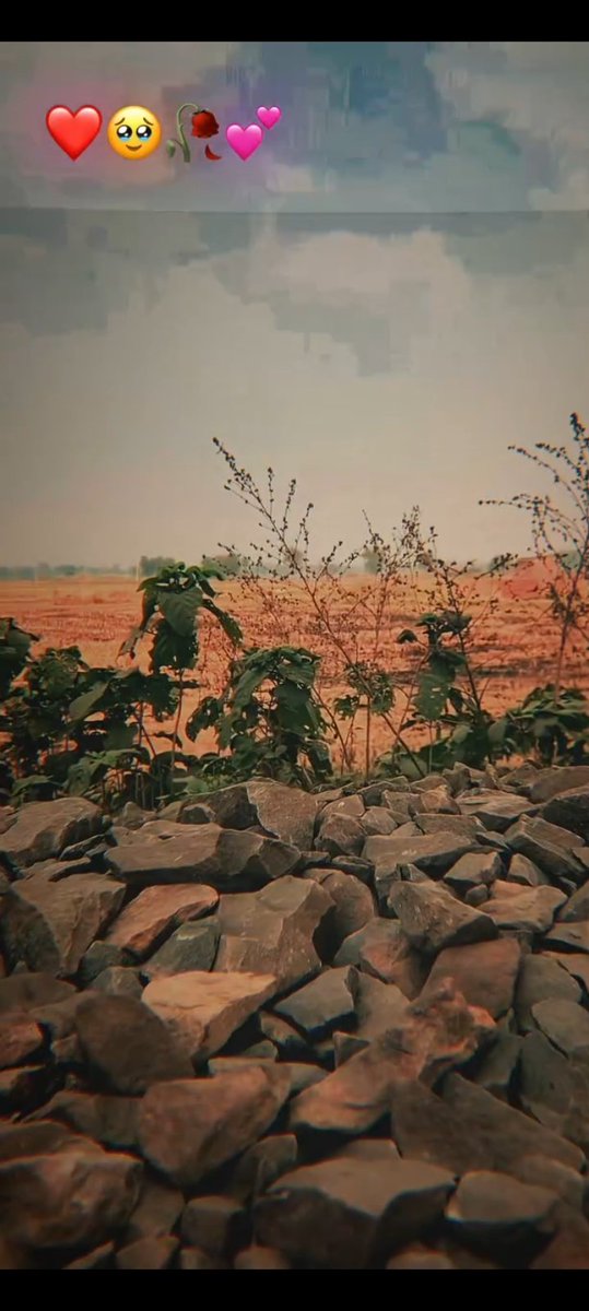 Vikashkumar5905's tweet image. ,♥️🥹🥀💞 लव स्टोरी फिल्मों में अच्छी लगती है असर जिंदगी कुछ और है भाई 🥹🥺🥺🥹💞🥀♥️💞🥀🥰💞💓💝👰🏻 ❤️‍🩹 love story film mein acchi lagti hai asal zindagi kuch aur hai mere bhai