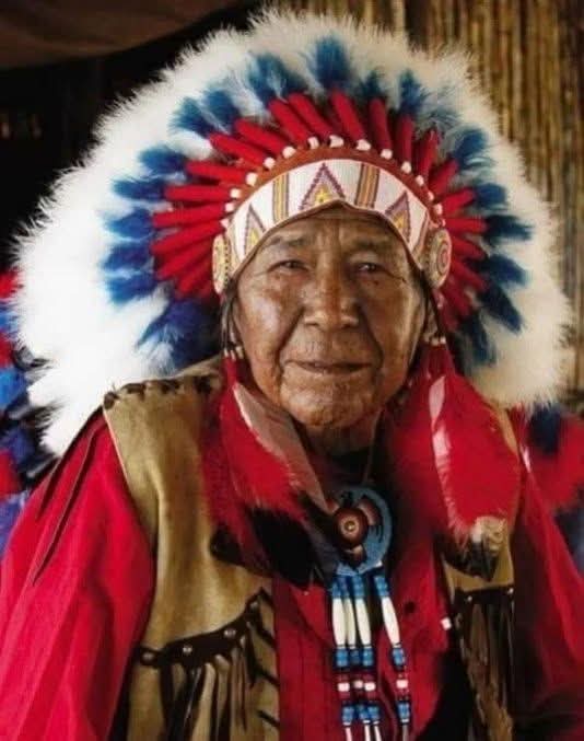 xarmy144's tweet image. &quot;BASTARDIZED LANGUAGE!&quot;  WE&apos;RE CODETALKERS!  🔥🦅🔥