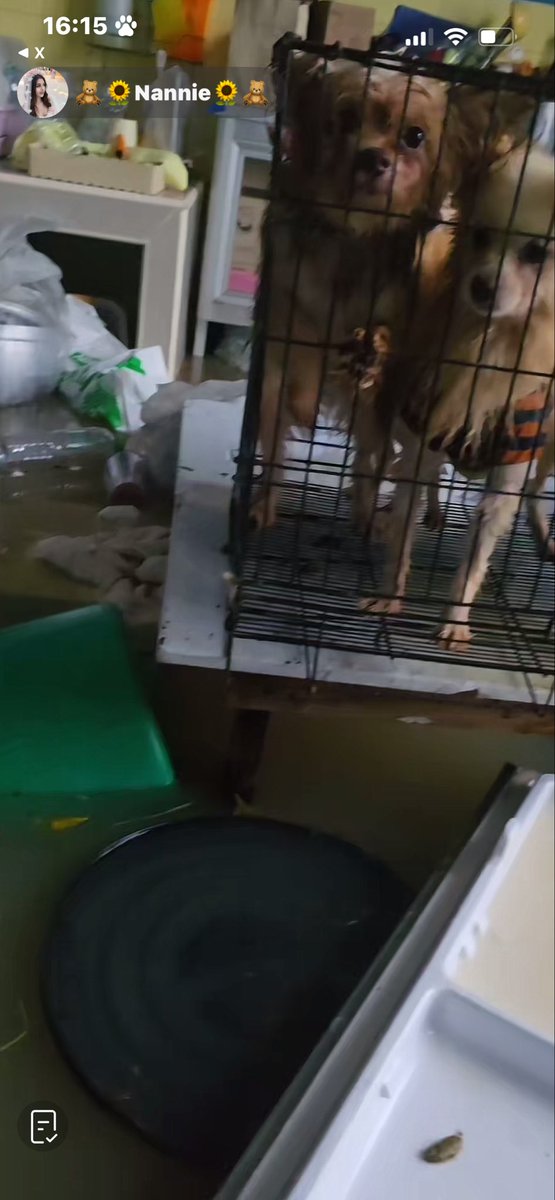 หมาจ๋อง🐶 tweet media