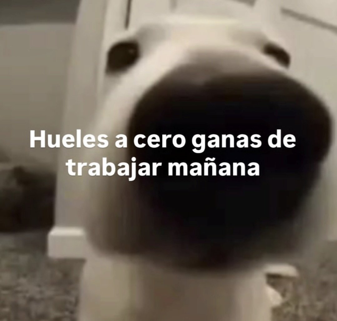 La Netflix 

Noches ✨️