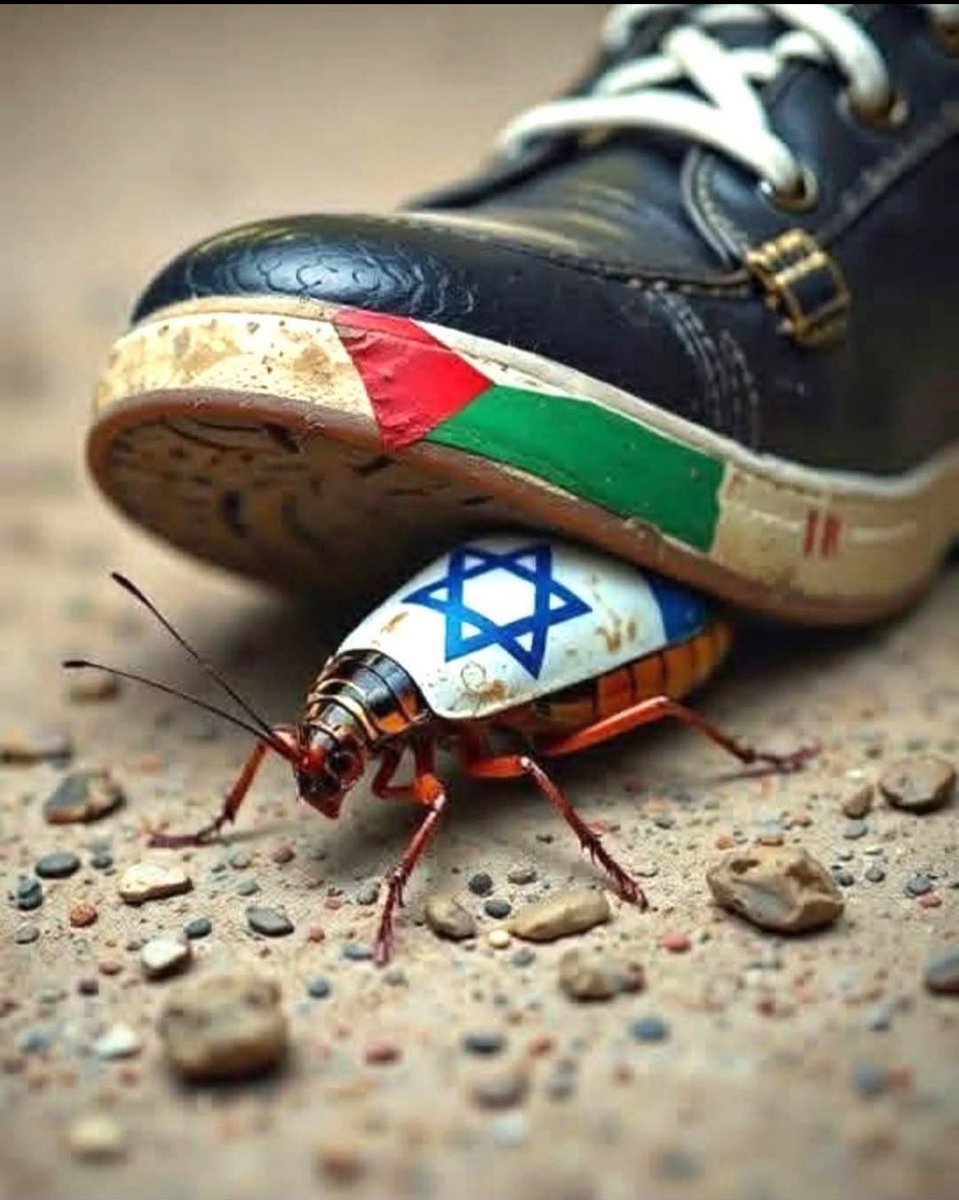 <a href="/netanyahu/">Benjamin Netanyahu - בנימין נתניהו</a> TERÖRİST İSRAİL.
TERÖRİST NETANYAHU.