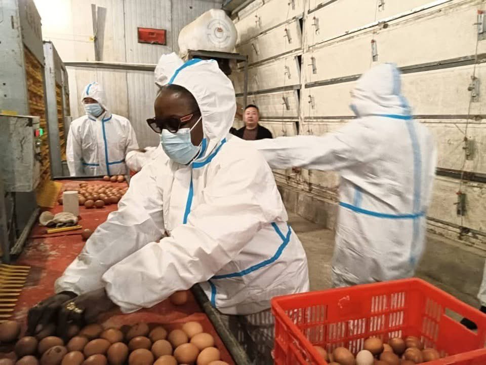 Vice-Chancellor, University of Ghana tweet media