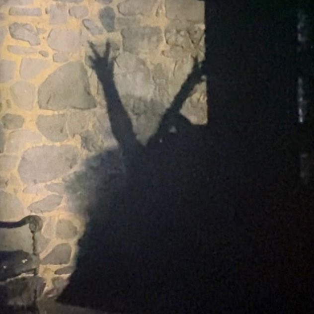 alyciasgoid's tweet image. “i’d be so happy i could… melt”