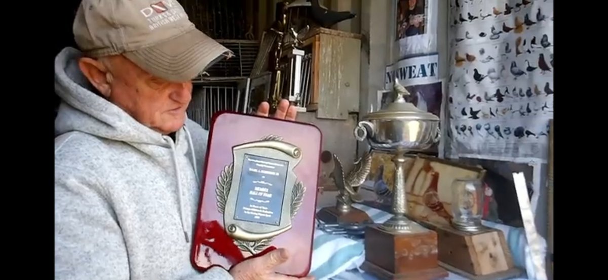 Christo51607547's tweet image. ##CDJFASHIONFORWARDRANCH #GlobalWellness #LVMH #luxurydesign #mindfulliving #AuroraCannabis #ExecutiveLeadership #openingtheworldtocannabis #BrandAmbassador #LuxuryMedicalCannabis #runway7