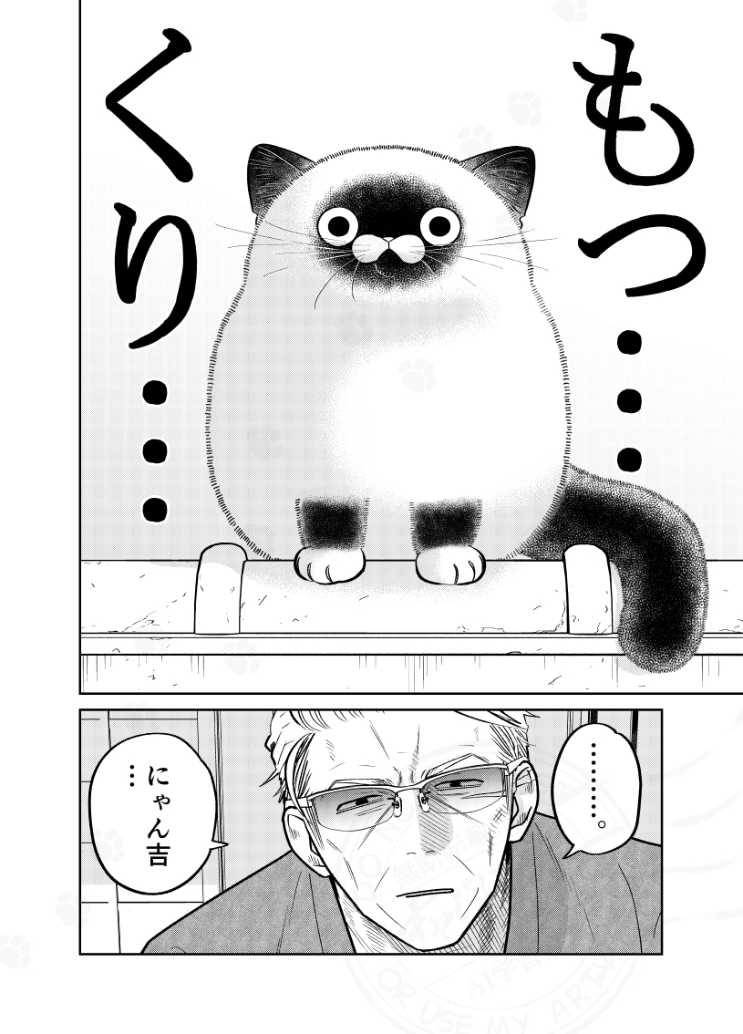 家によく来る野良猫が冬毛になった話。 （0／3）