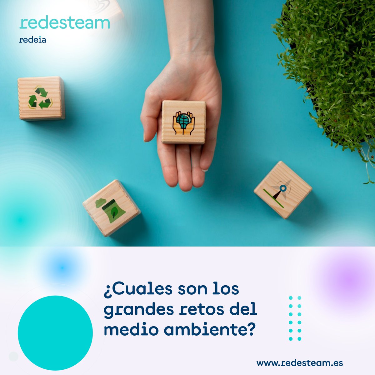 redesteam1's tweet image. 🌍 Todo en el medioambiente está conectado. Nuestra actividad ha alterado un equilibrio natural que tardó millones de años en formarse.
Descubre en este vídeo los grandes retos medioambientales:  redesteam.es/recursos/los-g…
#MedioAmbiente #Sostenibilidad #redeSTEAM