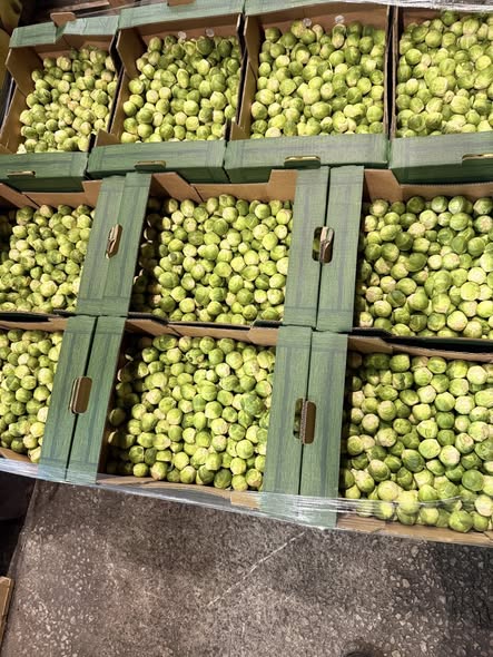 DawnSl44's tweet image. 🥬 LOVE THEM OR HATE THEM… IT’S SPROUT SEASON! 🥬