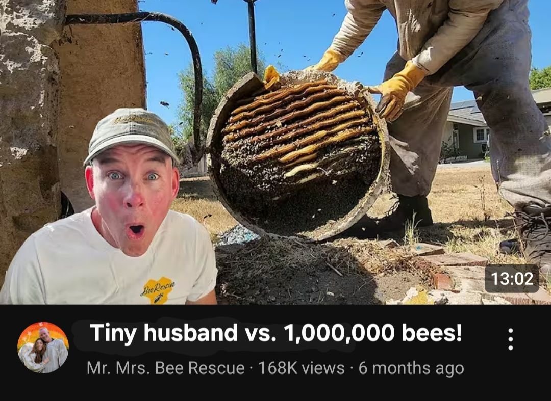 Feverdream Johnny tweet media