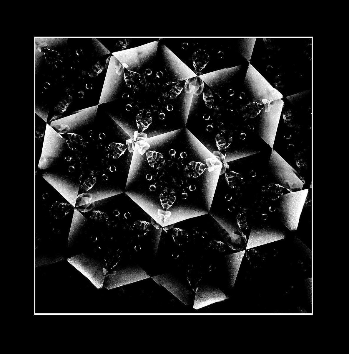 googoo_7_'s tweet image. &apos;&apos;ABYSS FLOWER&apos;&apos;

#Photography
by GOO-GOO