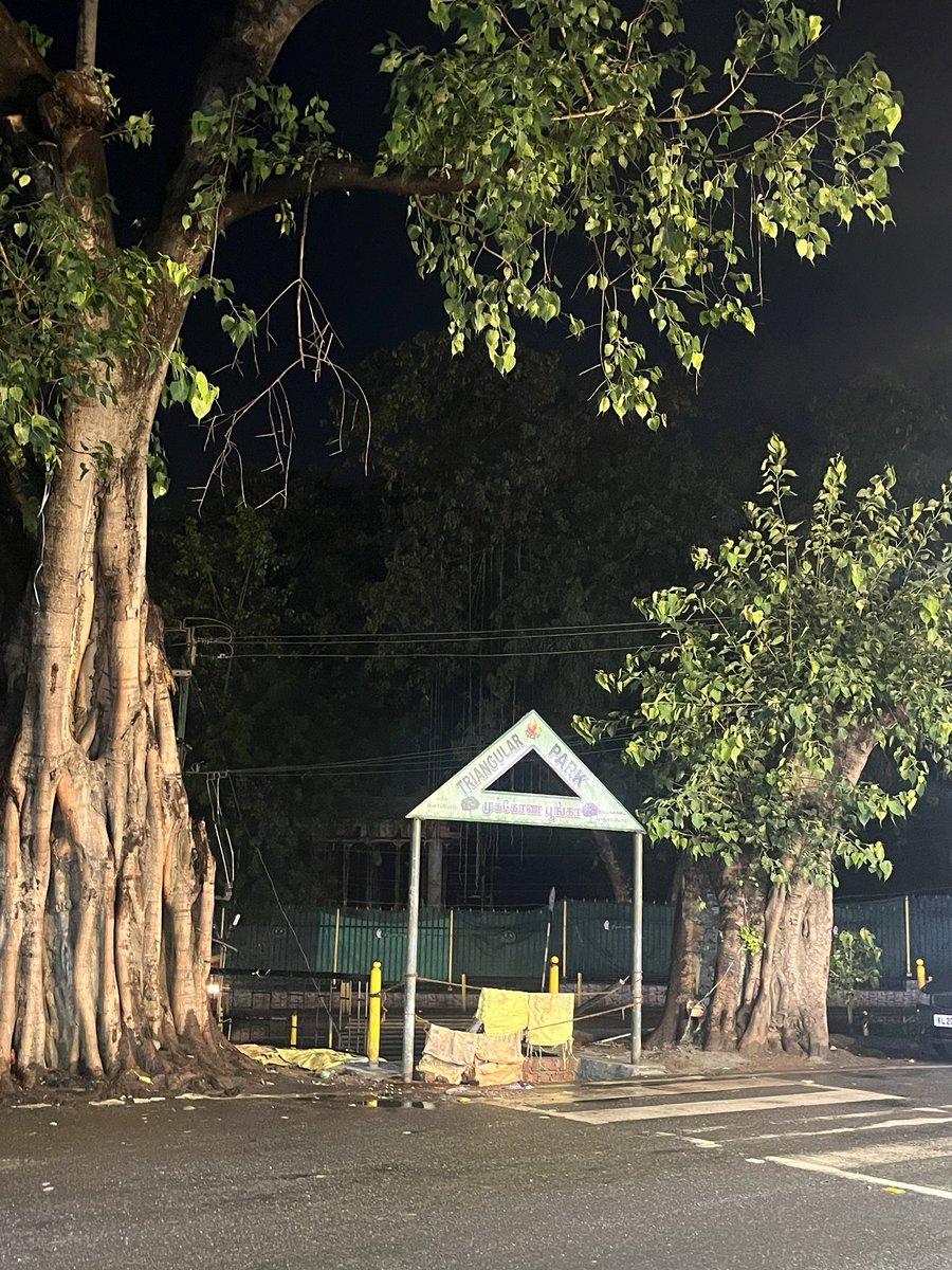 Share something beautiful