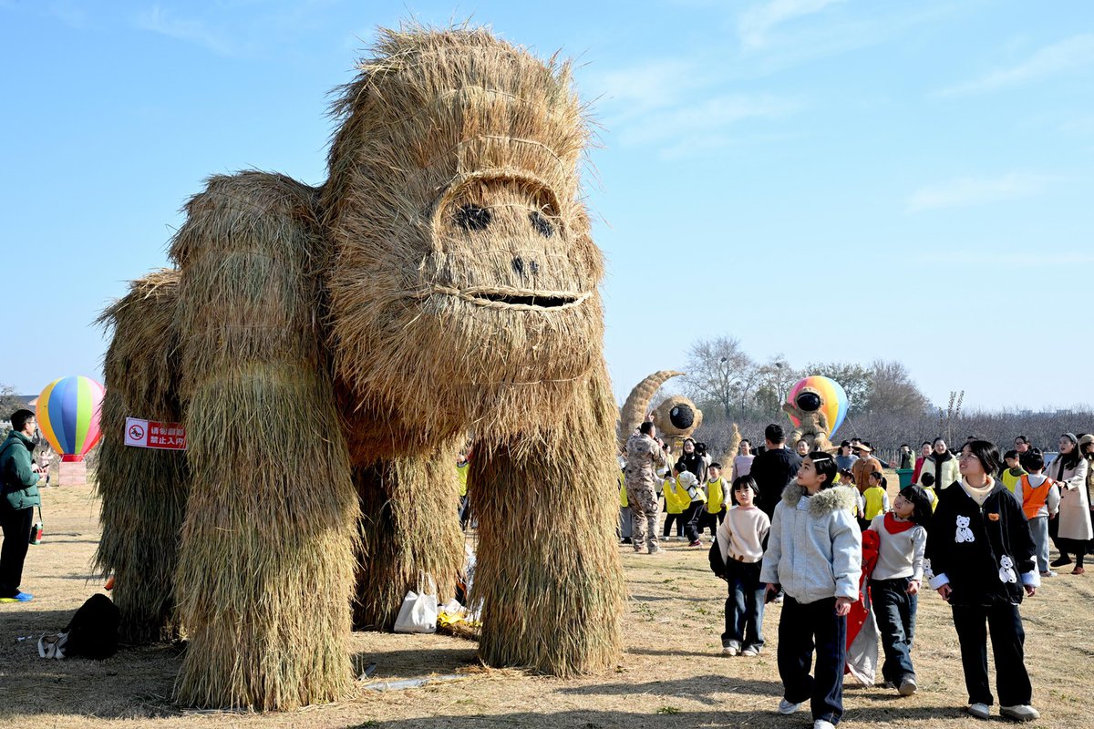 ChinaDaily's tweet image. Residents and tourists enjoy a day out among giant #scarecrow sculptures at an art festival in Bozhou, #Anhui province, on Saturday. The exhibition showcases the creativity of straw #art through more than 40 large-scale installations. #FunChina