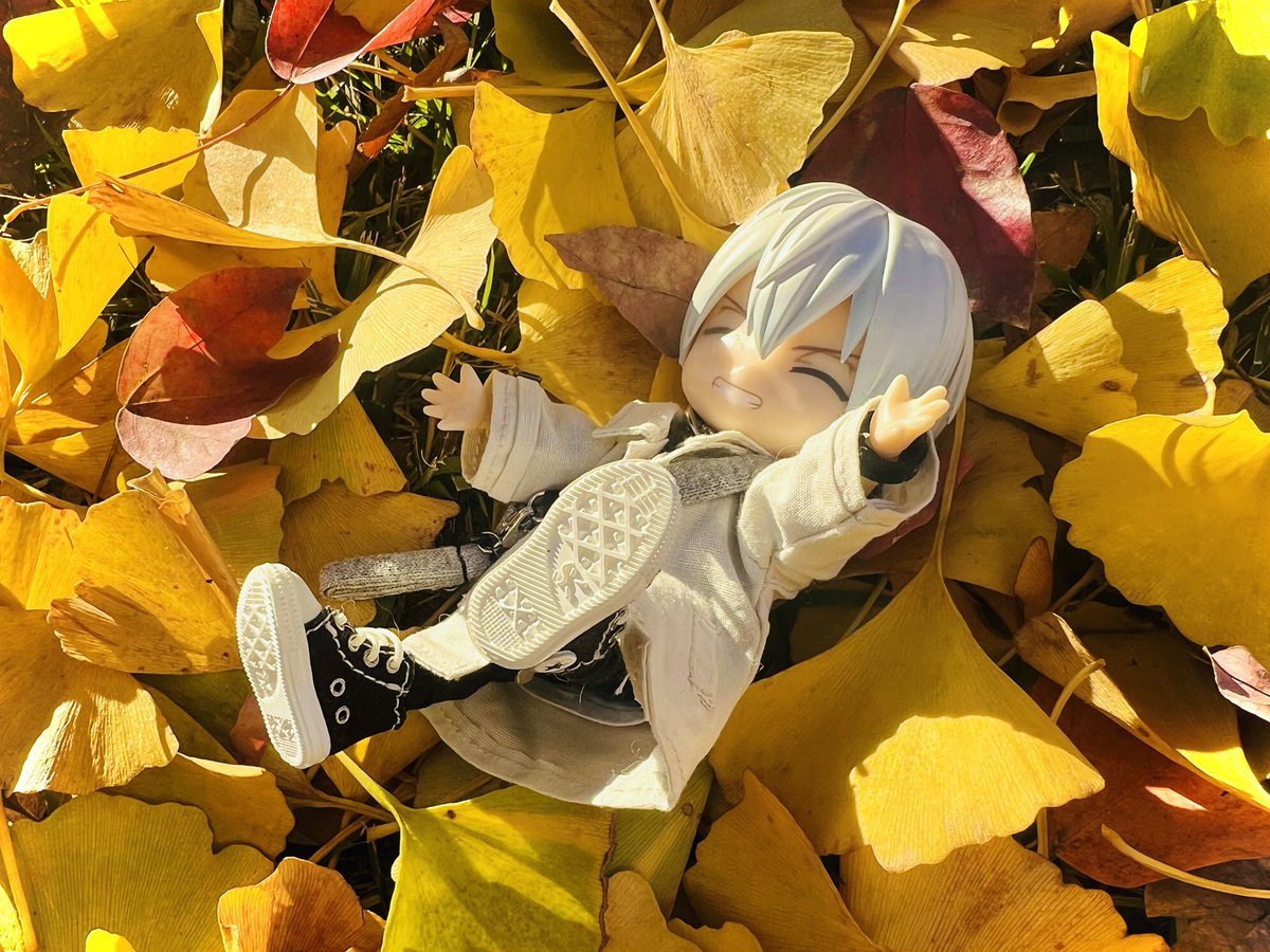 去年来た時はなかったフォトスポットが出来ていたり、ちょうどハートのお絵描きがしてあるところがあったり…イチョウが落ちてたので集めてダイブしてもらいました💛
三連休最終日癒やされて締めくくりです🙌🏻