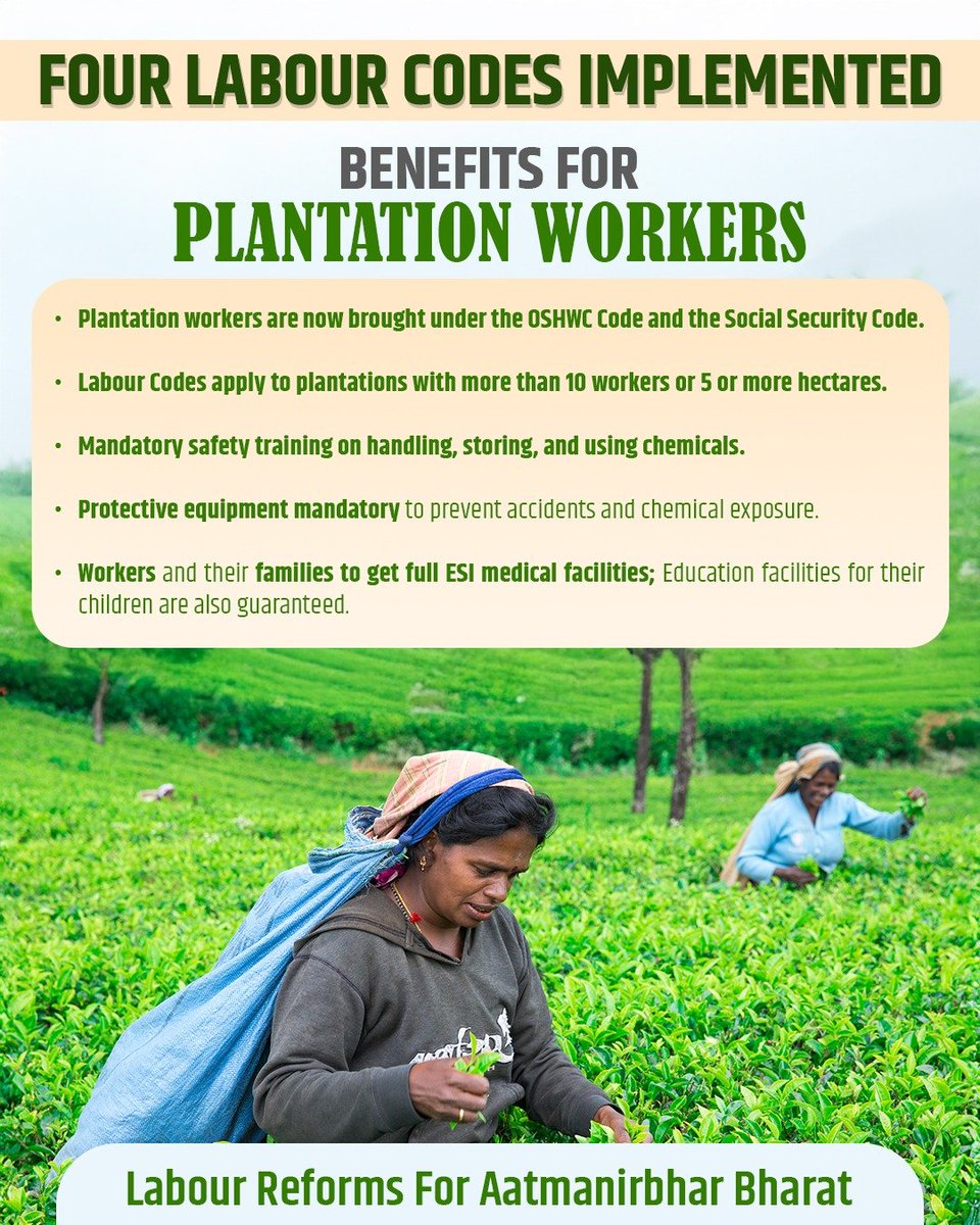 airnewsalerts's tweet image. 𝐋𝐚𝐛𝐨𝐮𝐫 𝐂𝐨𝐝𝐞𝐬 𝐟𝐨𝐫 𝐚 𝐬𝐞𝐥𝐟-𝐫𝐞𝐥𝐢𝐚𝐧𝐭 𝐈𝐧𝐝𝐢𝐚

Benefits for Textile workers, Plantation workers, MSME workers, Mines workers.

#ShramevJayate | #श्रमेव_जयते | #LabourCodes