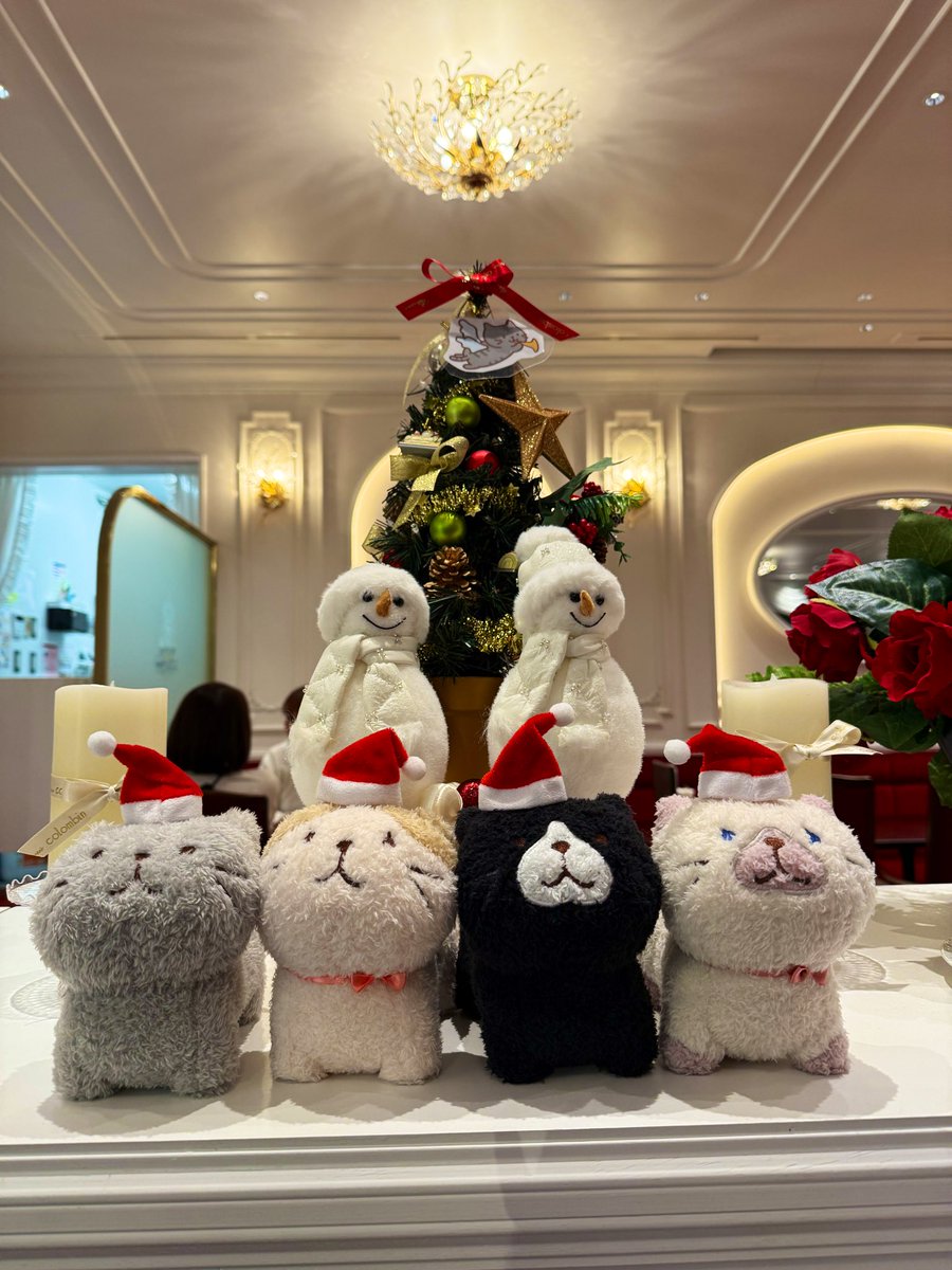 fukuharu2525's tweet image. みなさまお久しぶりです🥰❣️

コロンバンのコラボカフェ、ぎりぎり間に合いましたにゃ🐈🐾

幸せ空間すぎてずっと1人できゃっきゃしていましゅ。。。💗
#ふくふくにゃんこ #ふくふくにゃんこ集会 #コロンバン