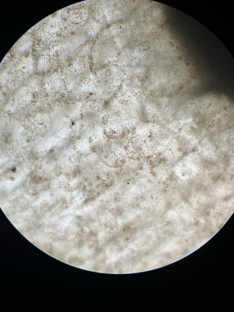 أول ترم من سنة التخصص 10/10 🤩