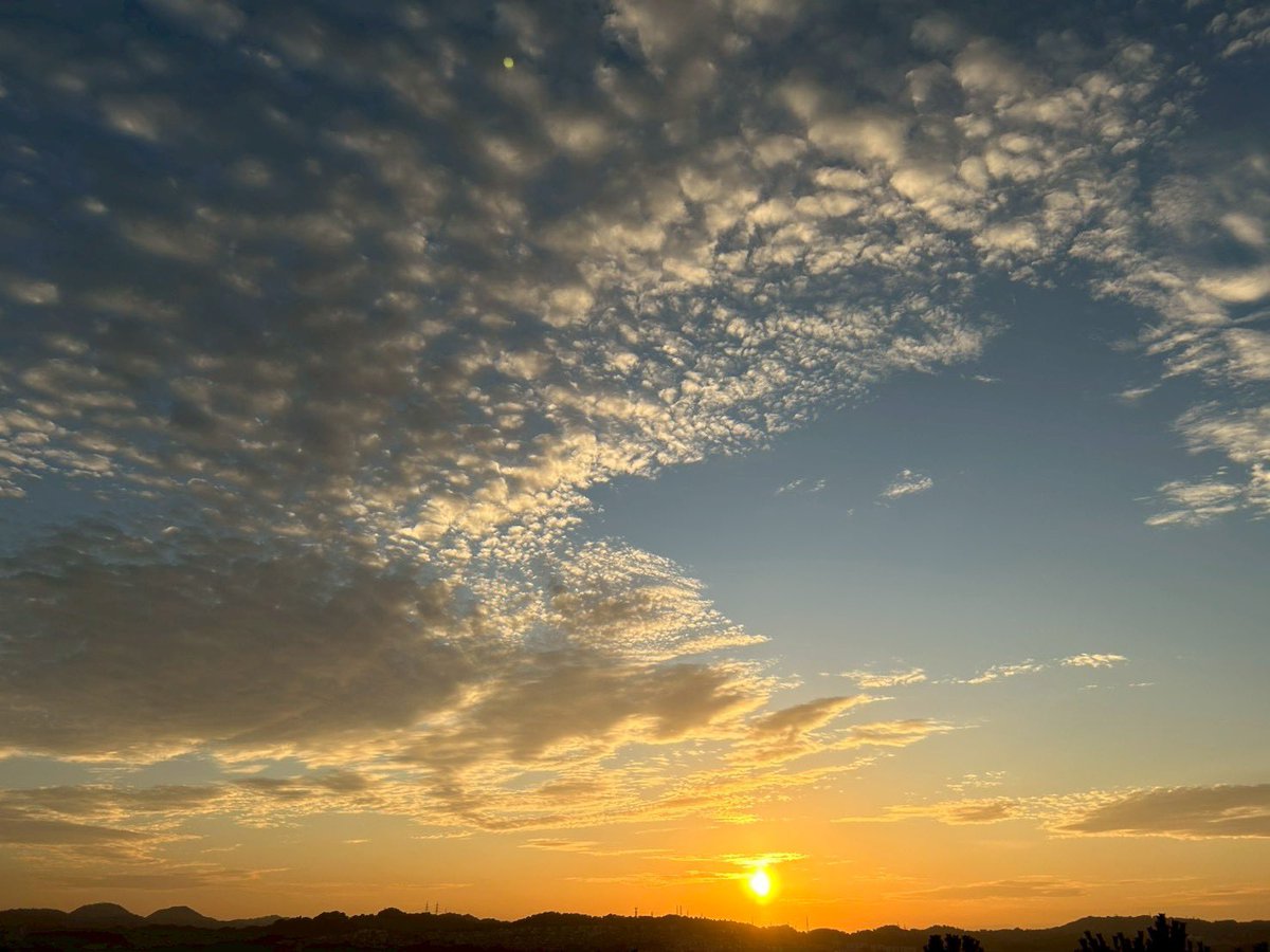 h_i_r_o_m_i_'s tweet image. 横浜市金沢区の野島へ。初上陸。陽が沈んでゆくのを展望台から眺めました。