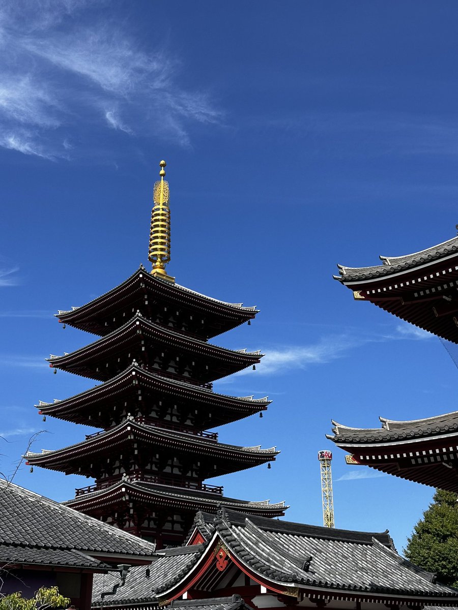 🪩 Lucidérée 🪩 tweet media