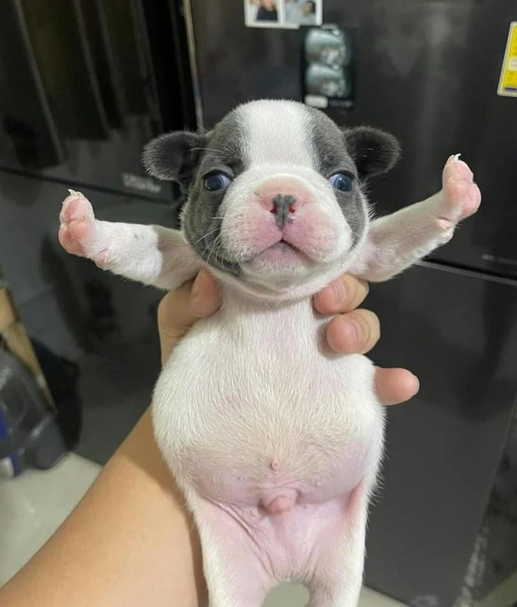 atmosphericfolk's tweet image. STOOOOOOOOOOOOOP FIIIIIIIIIIIIIIIIGHTIIIIIIIIIIIIIIIIING!!!!!!