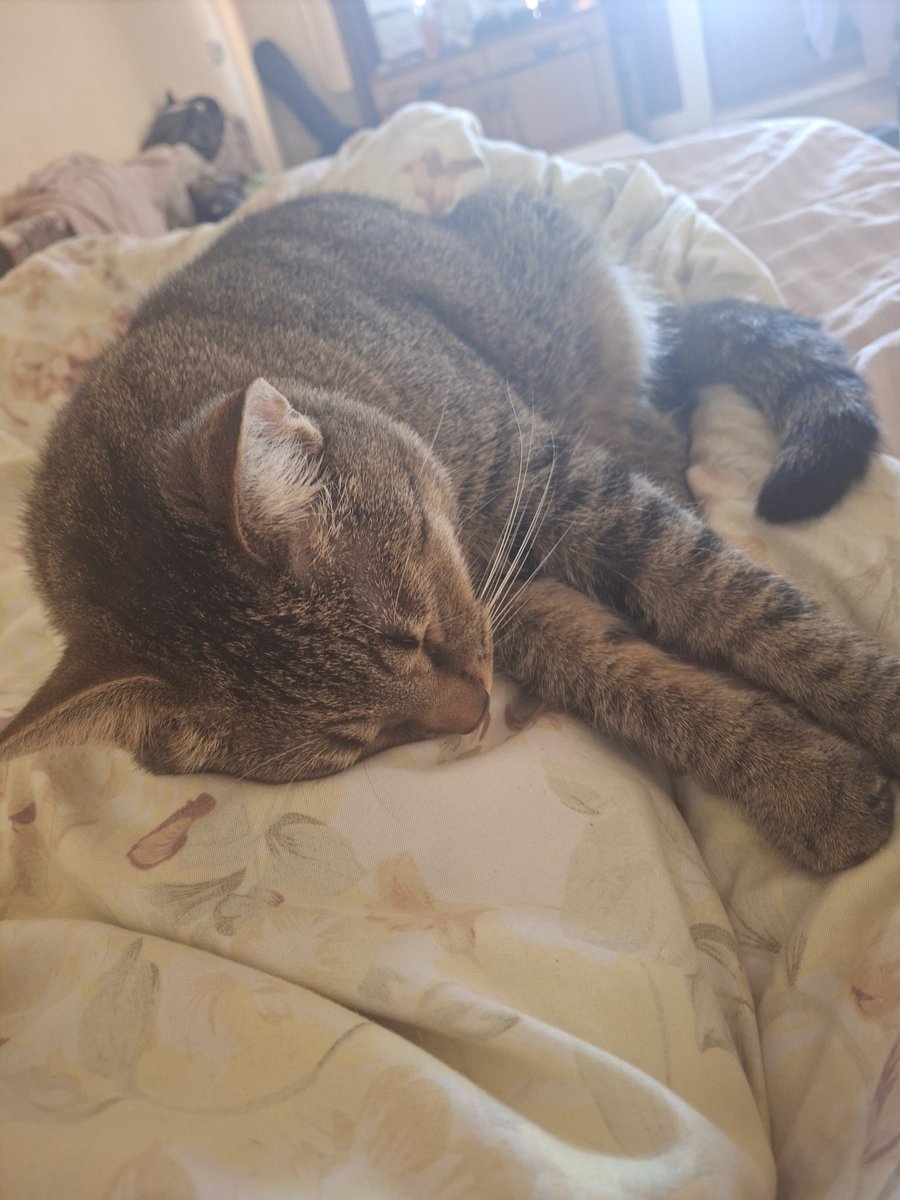 public_mental's tweet image. Тищі на пнб досі нема ех
send.monobank.ua/jar/3bcqKiVDww