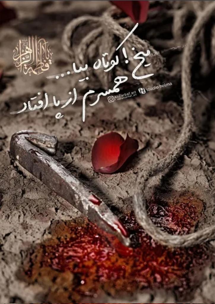 Tahmine🇮🇷 tweet media