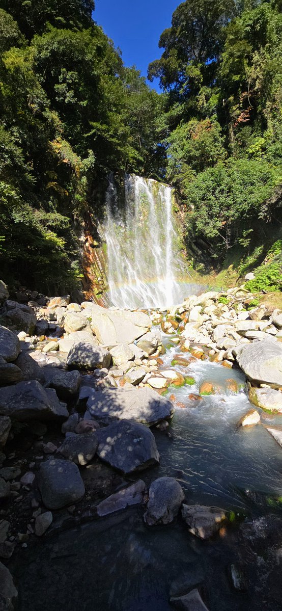 funkuso2nd's tweet image. あっ、しんだ！！！！I&apos;m die thank you forever