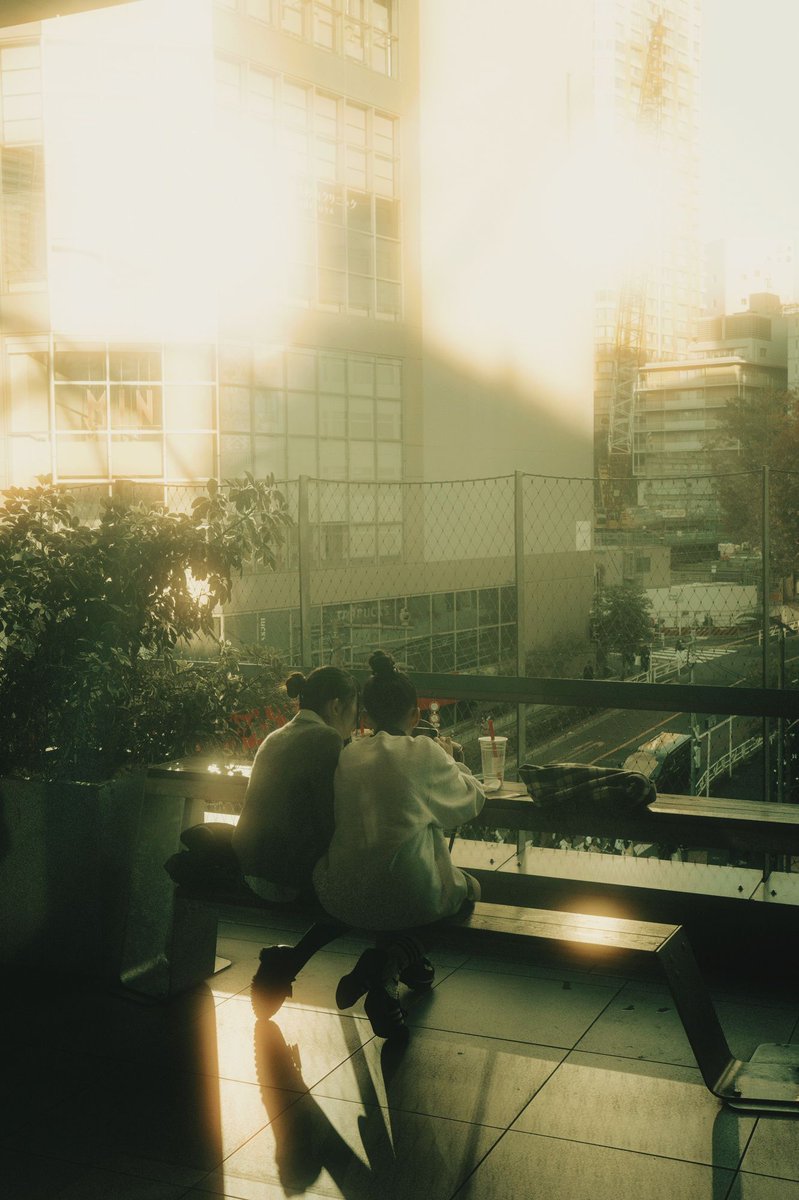 p_tosanokoji's tweet image. Imitation