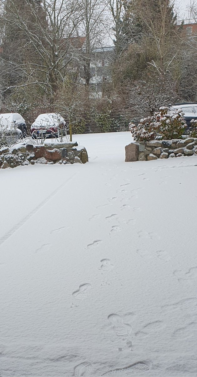Bei dem Wetter macht Fahrrad fahren Spaß❄️❄️❄️❄️