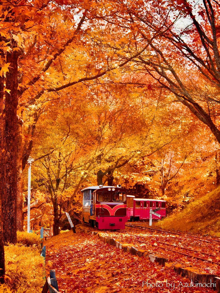 ありさ (@yCfE4B7geHhXyoO) / Posts / X