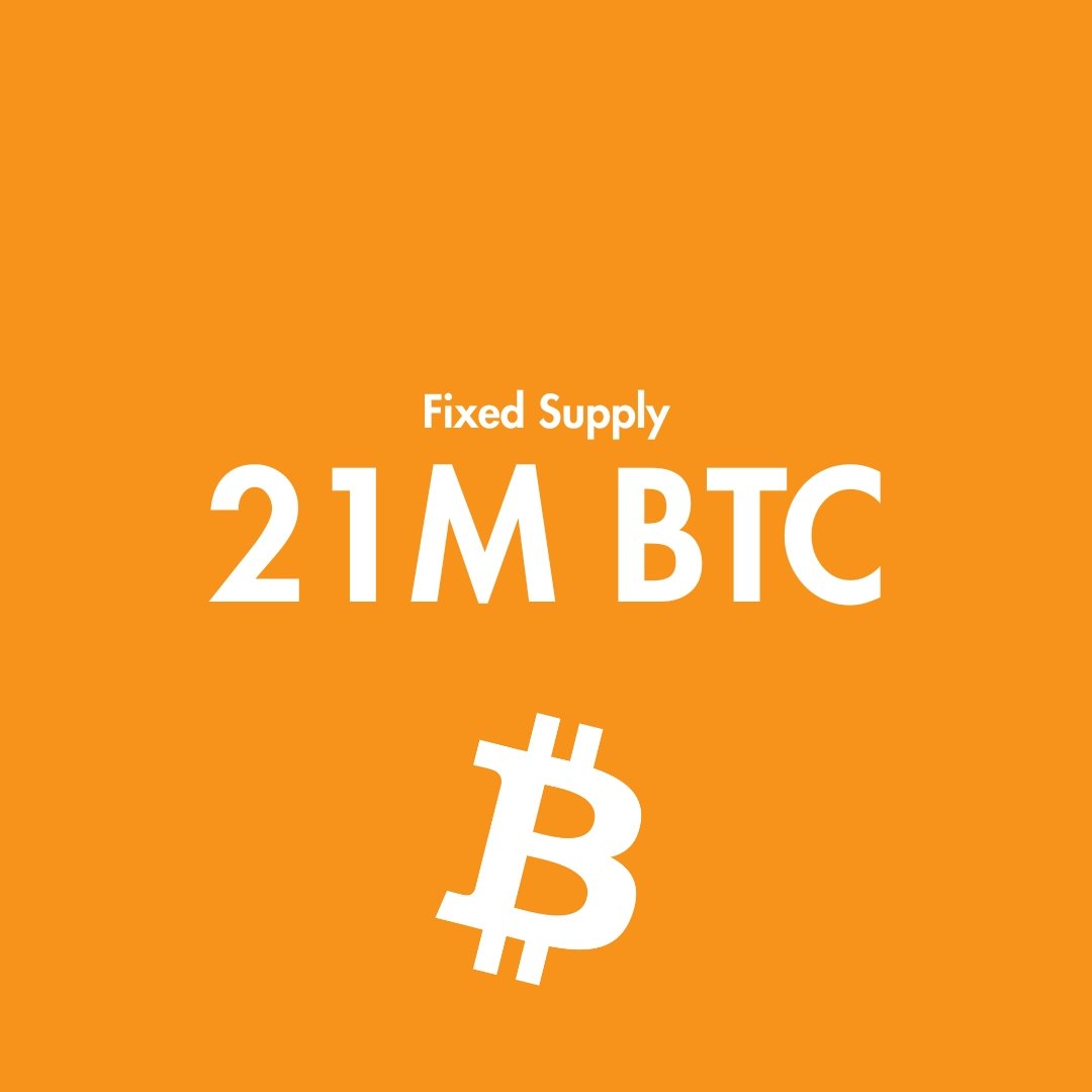 OxManuel tweet media