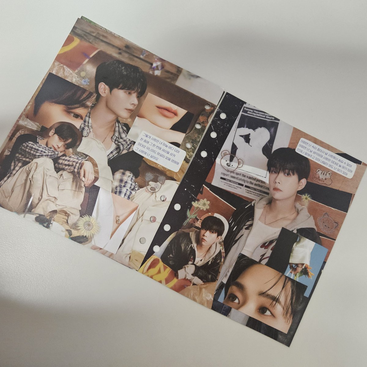 찐빵은 왈왈🌻 tweet media