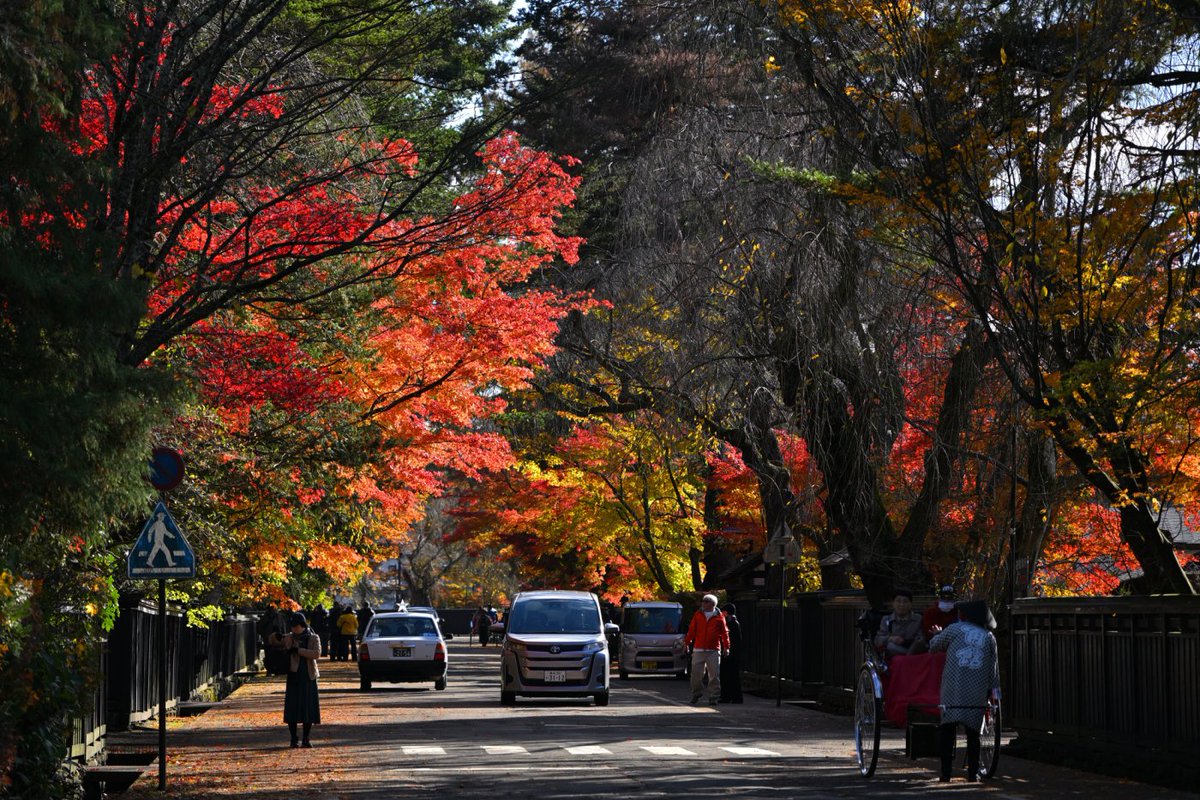chageki's tweet image. 角館武家屋敷の紅葉見に行きました。 plaza.rakuten.co.jp/shigekimb0515/… #r_blog 　＃秋田　＃角館　#紅葉 　＃武家屋敷