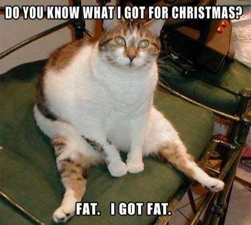 Don't let this happen to you this holiday season. Call me today to get started! 251-635-7477
. Call#personaltraining #nutrition #workout #fitness #gym