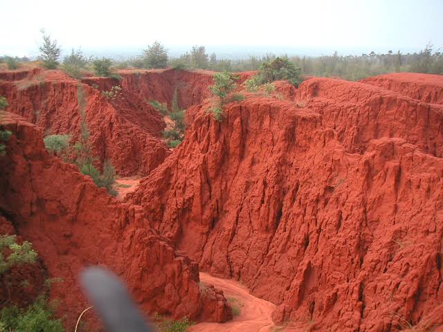 TNGeography's tweet image. Tamil Nadu is gifted with extensive coastal sand-dunes that protected our landmass, sadly, most are destroyed in last 50 yrs due to increase in population and sand demand. Though sand-dunes are protected in CRZ but most of the dunes are purposely left-out from the record 3/3