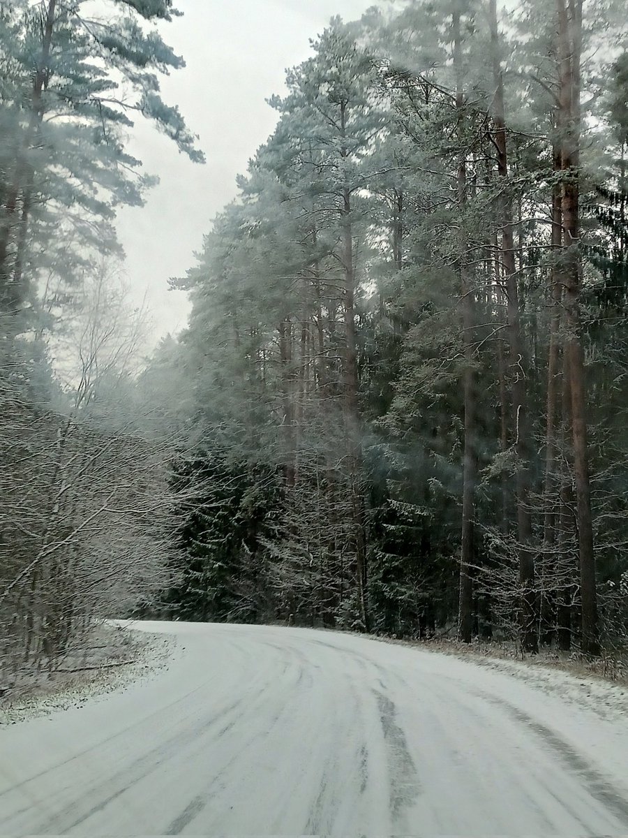 Wikta2006's tweet image. Dobra, ładnie już było, śnieg zapraszamy za rok, teraz może spadać