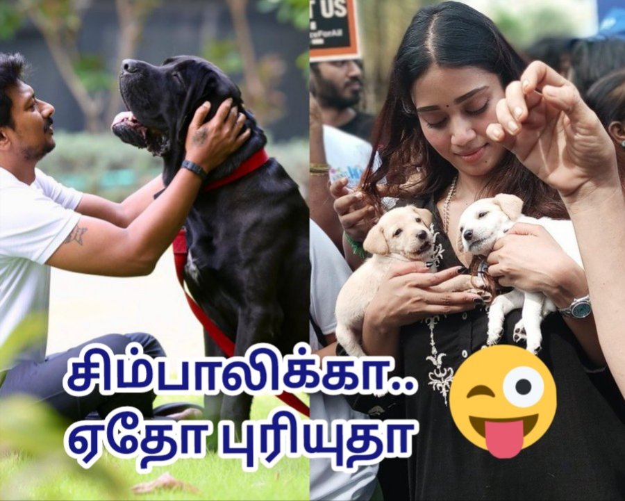 ModiMalai's tweet image. என்னவோ... 
போங்கடா....