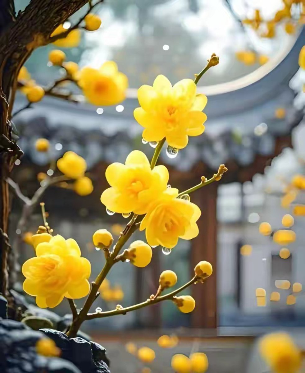 weizai84934144's tweet image. 岁月忽晚，浅冬薄凉。季节偷换冷暖，流年落下红颜。几度闲愁煮相思，一世繁华入冬眠。