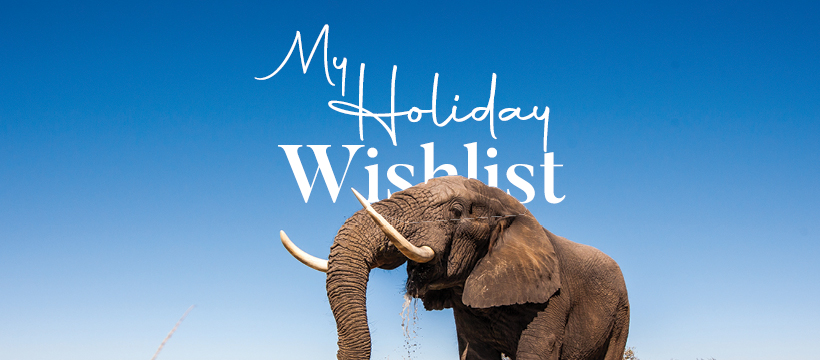 Black Friday Special! - mailchi.mp/c6ee73086ef4/e…