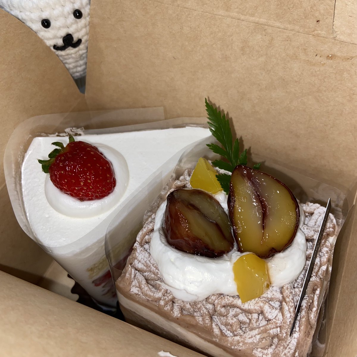 케이크를 노리는 뜨곰뇨속