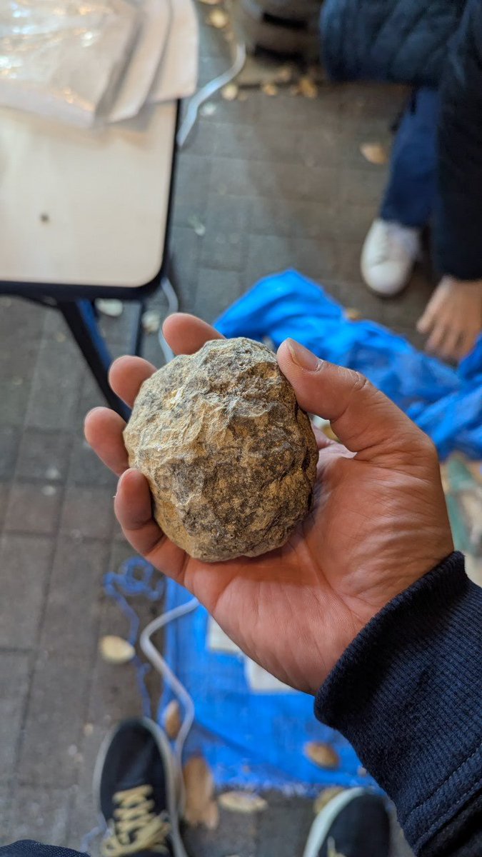 川崎 誠二|KAWASAKI Seiji tweet media