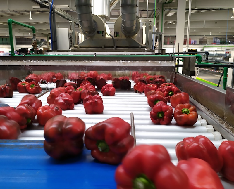 REVISTAFYH's tweet image. ¿Sabías que el consumo de #pimiento en #Austria crece un 14 por ciento en 2024?

Fue la categoría que más incrementó su demanda durante 2024 en frutas y hortalizas por delante, los típicos: #tomate, #zanahoria, #cebolla y #pepino. Aquí te contamos más: ⬇️

fyh.es/el-consumo-de-…