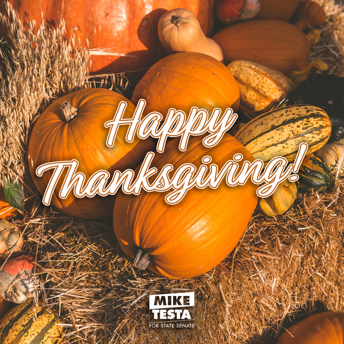 TestaForNJ's tweet image. Wishing everyone a warm and joyful Thanksgiving. Today, we celebrate gratitude and the blessings we share. I’m thankful for the opportunity to serve South Jersey and all the unique destinations that make our region so special.

May your day be filled with great food, good…