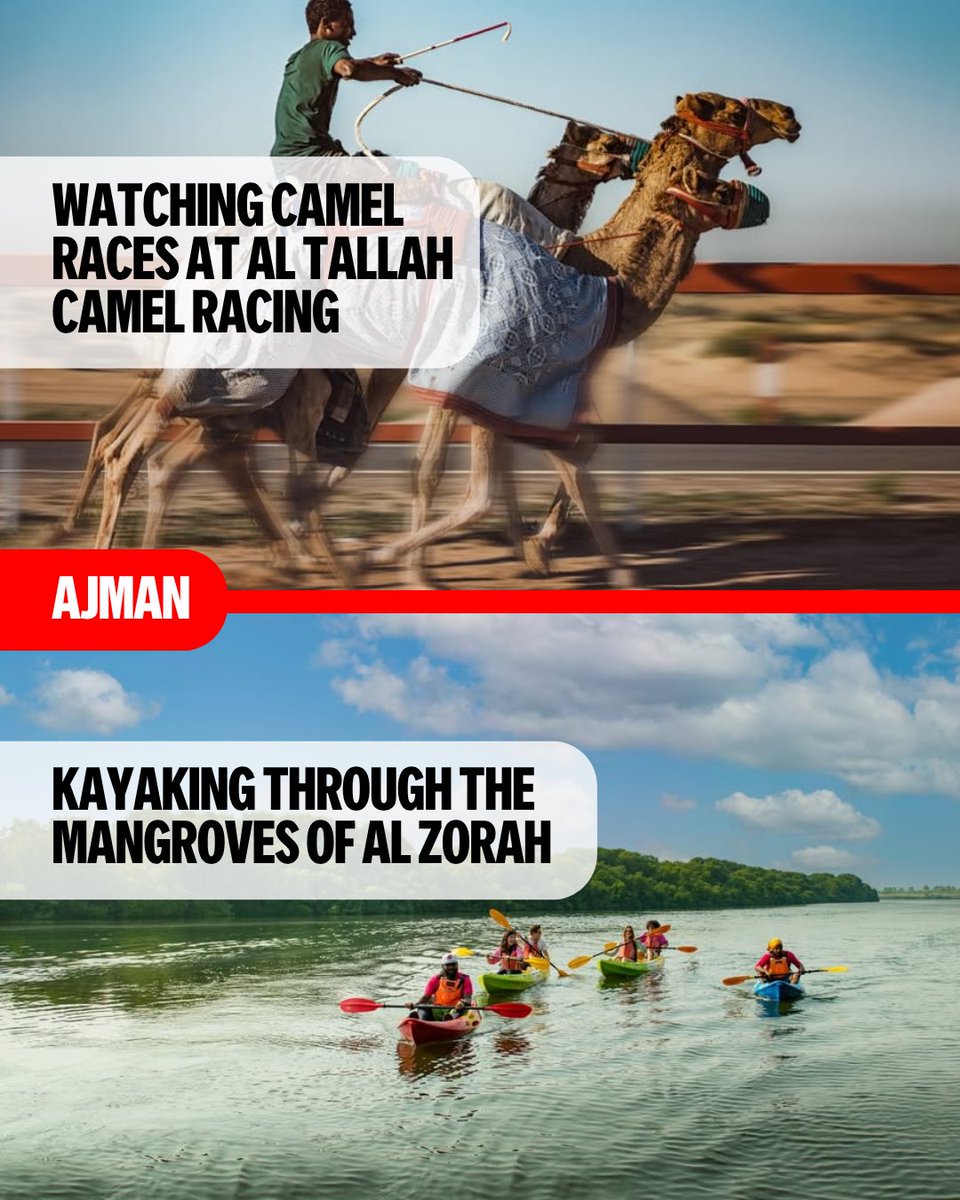 We’ve put together a selection of interesting events and activities for the coming days ✨
جمعنا لكم قائمة من الفعاليات والأنشطة الممتعة التي يمكنكم القيام بها في الأيام القادمة.