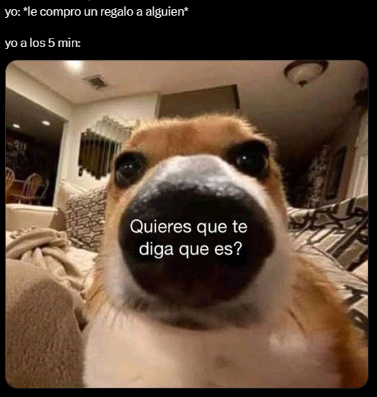 Alfonso Verlezza tweet media