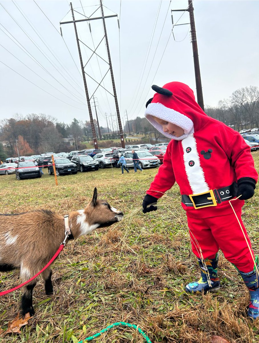 ASG Information Technologies tweet media