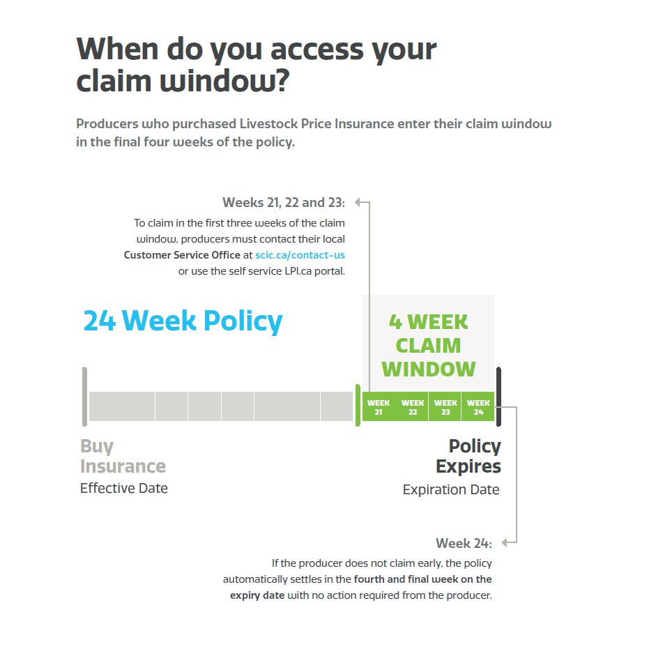 When do you access your claim window? Producers who purchase Livestock Price Insurance (LPI) enter their claim window during the final four weeks of their policy. Secure your coverage and know your timeline.

<a href="/SK_StockGrowers/">SK Stock Growers</a> <a href="/SKAgriculture/">Sask Agriculture</a> <a href="/SaskCattlemens/">Sask Beef</a> 
#SaskAg #SaskBeef