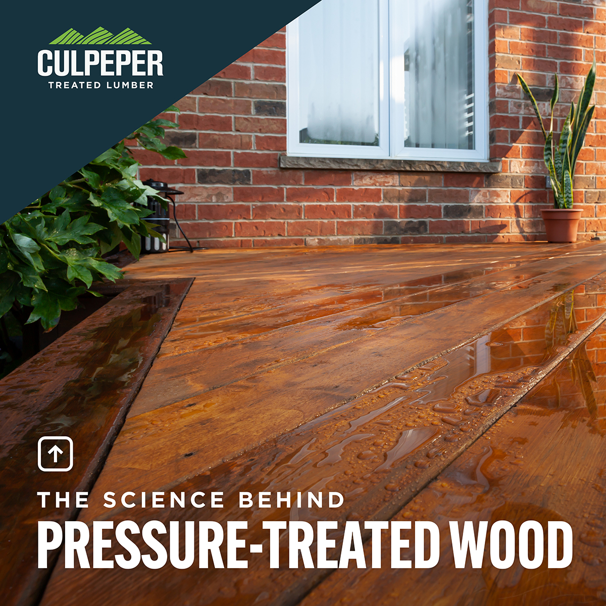 Ever wonder how wood resists rain and rot? Pressure-treated wood extends its life, reduces new timber use,  &amp; cuts waste. <a href="/CulpeperWood/">Culpeper Wood</a> delivers top-quality pressure-treated wood products. #CulpeperWood
ow.ly/LAk050XqeJI
