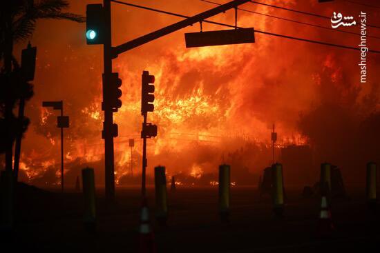 mohamadmsb's tweet image. اتش سوزی جنگل های هیرکانی با تلاش شبانه روزی مهار و خاموش شد!

خداروشکر مازندران ، کالیفرنیا نبود که تا سه ماه بسوزه جنگل هاش و هیچ کاری نتونیم بکنیم!

یخورده به خودمون افتخار کنیم بد نیست!