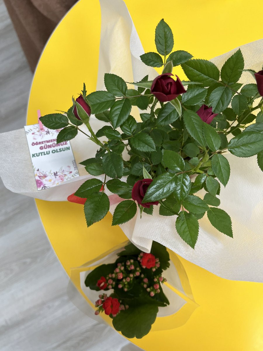 Öğretmenler günümüz kutlu olsun 🌸