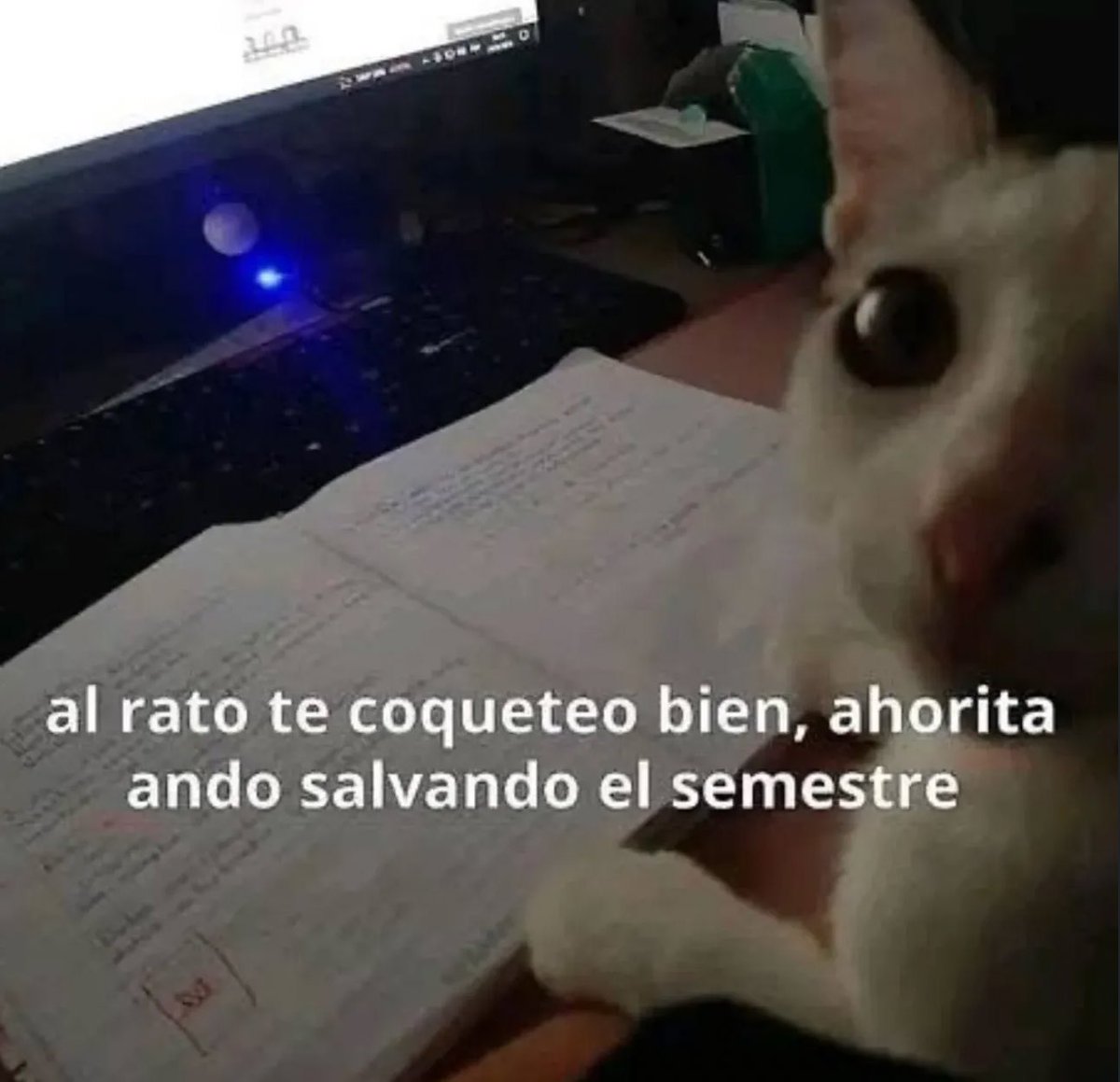 piña sin pizza (@skereunpesado) on Twitter photo 